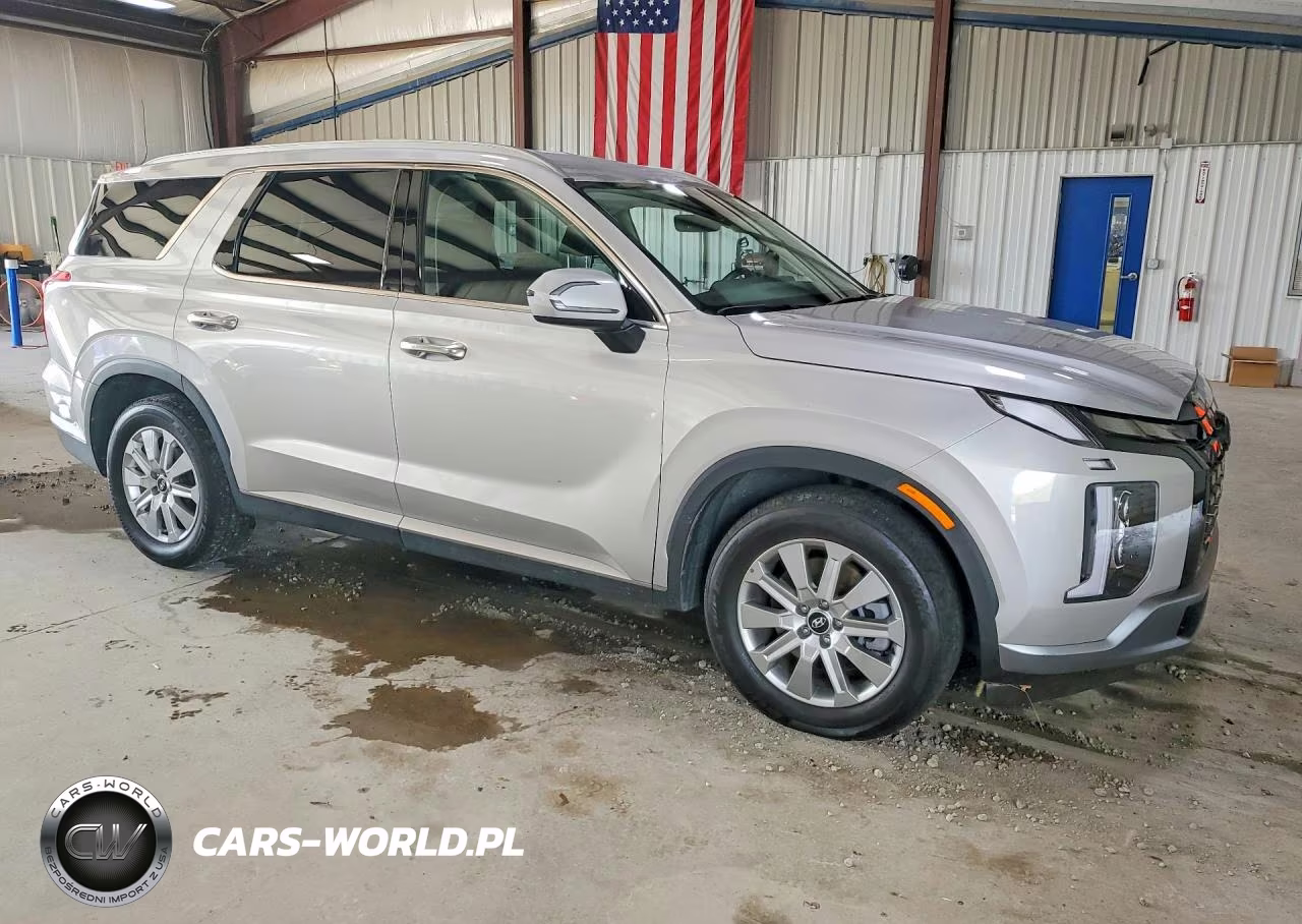 2025 Hyundai Palisade Sel VIN:KM8R2DGE6SU918840 - 4