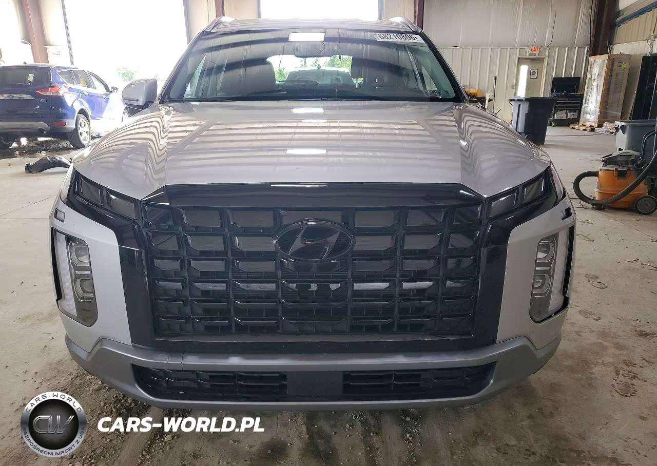 2025 Hyundai Palisade Sel VIN:KM8R2DGE6SU918840 - 5