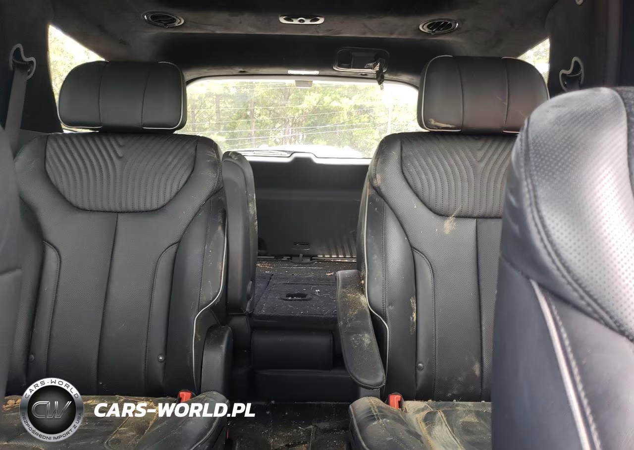 2025 Hyundai Palisade Calligraphy VIN:KM8R7DGEXSU906742 - 10