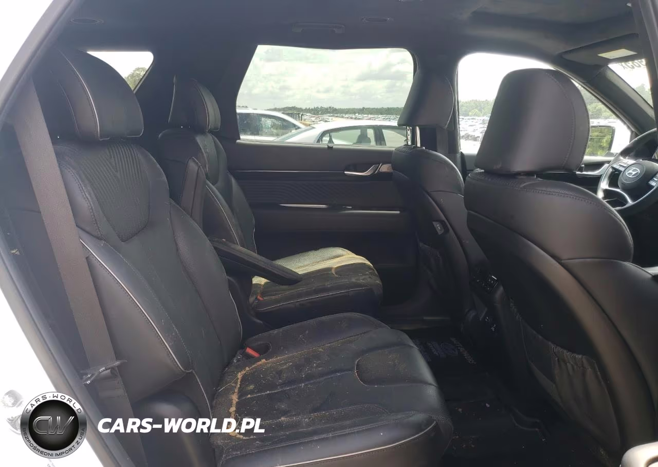 2025 Hyundai Palisade Calligraphy VIN:KM8R7DGEXSU906742 - 11