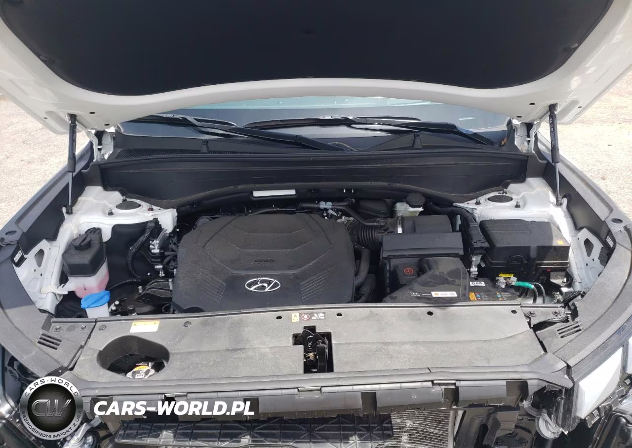 2025 Hyundai Palisade Calligraphy VIN:KM8R7DGEXSU906742 - 12