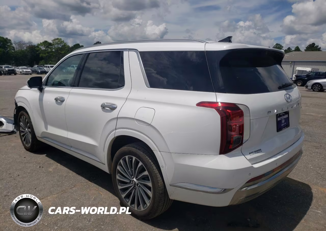 2025 Hyundai Palisade Calligraphy VIN:KM8R7DGEXSU906742 - 2