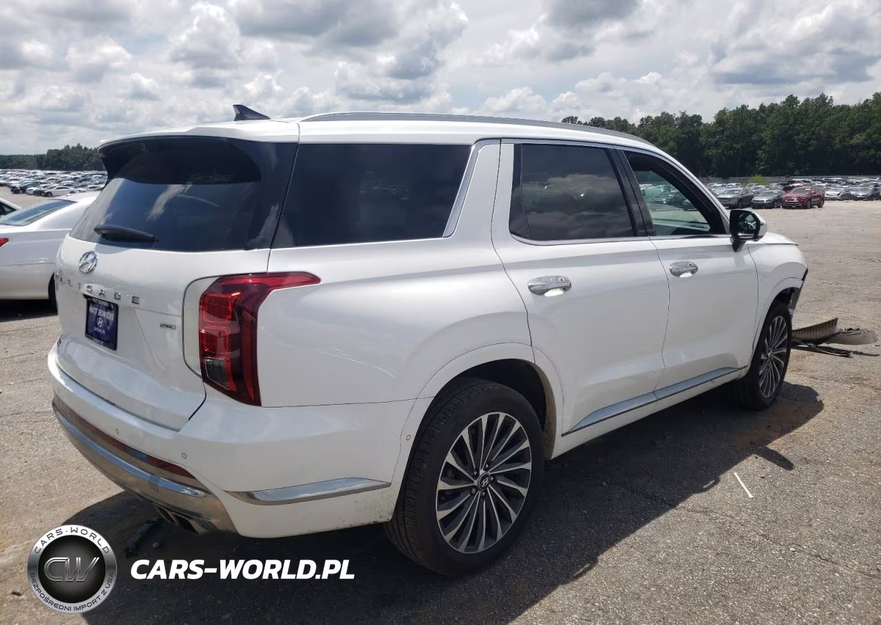 2025 Hyundai Palisade Calligraphy VIN:KM8R7DGEXSU906742 - 3
