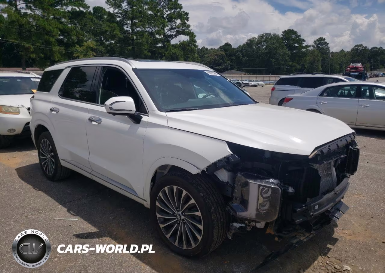 2025 Hyundai Palisade Calligraphy VIN:KM8R7DGEXSU906742 - 4