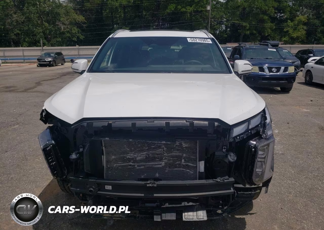 2025 Hyundai Palisade Calligraphy VIN:KM8R7DGEXSU906742 - 5