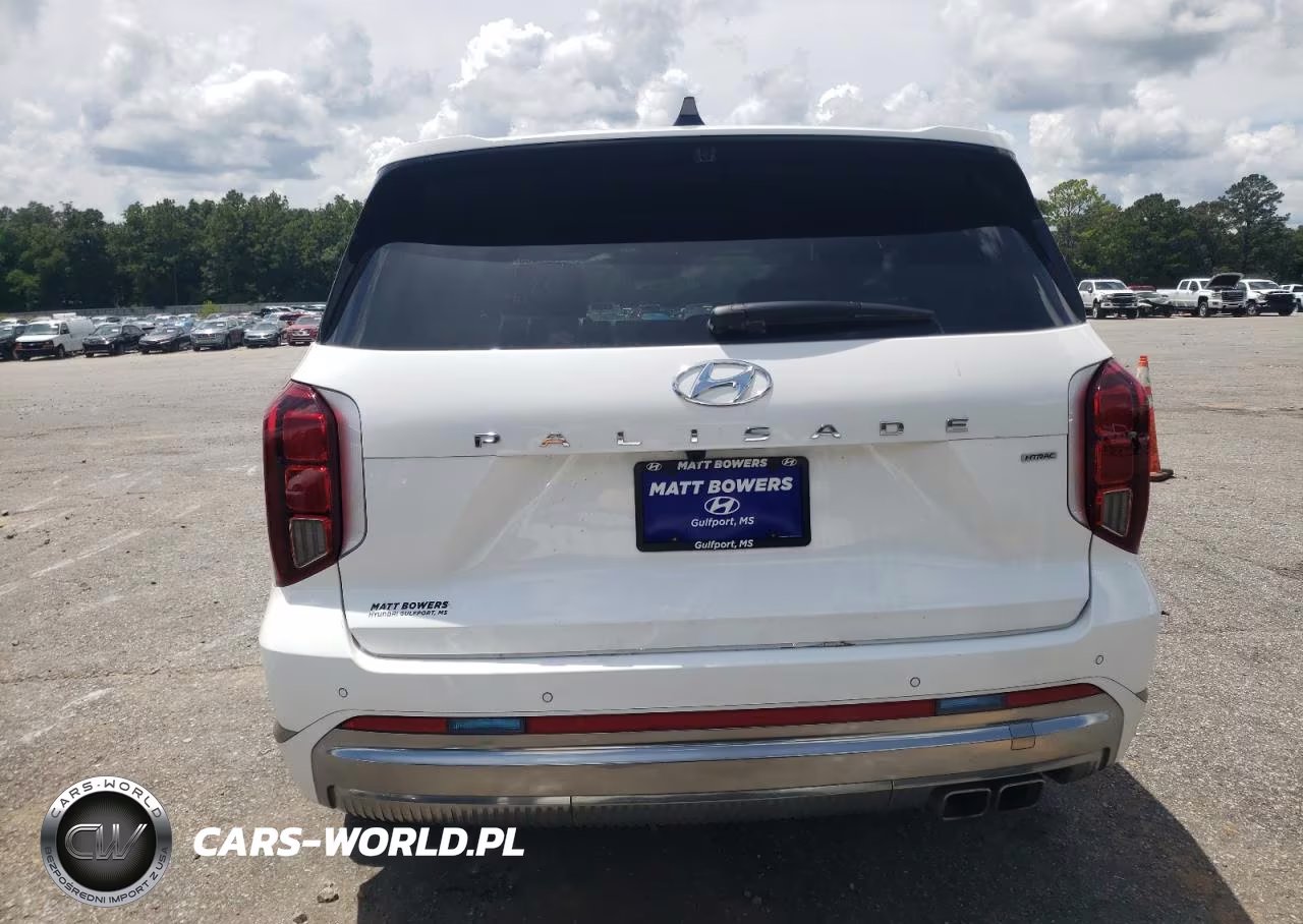 2025 Hyundai Palisade Calligraphy VIN:KM8R7DGEXSU906742 - 6
