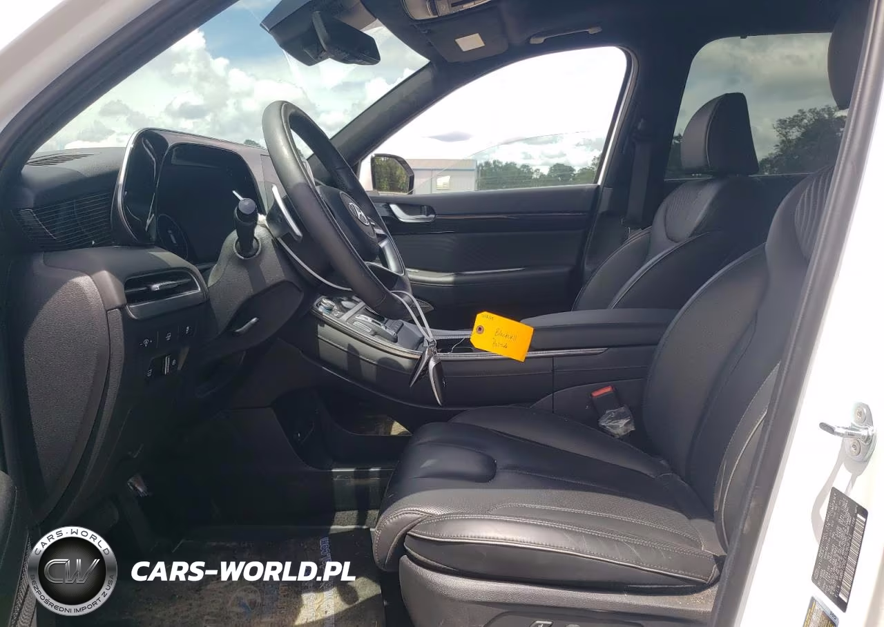 2025 Hyundai Palisade Calligraphy VIN:KM8R7DGEXSU906742 - 7