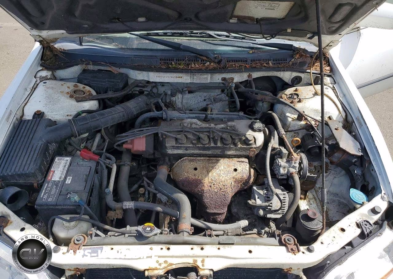 1998 Honda Accord Lx VIN:1HGCG5645WA254680 - 11
