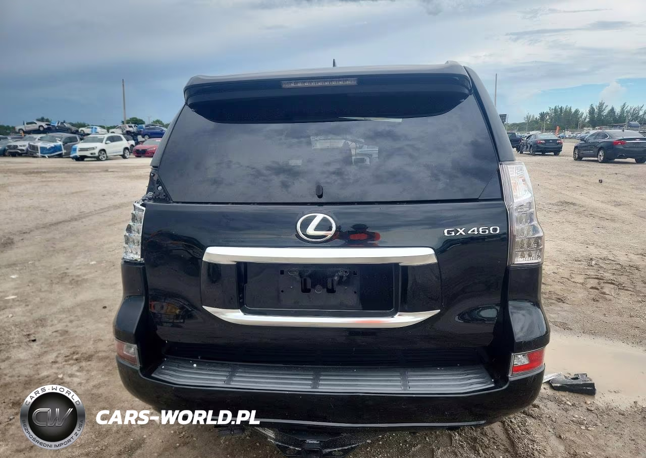 2020 Lexus Gx 460 Premium VIN:JTJAM7BX4L5259705 - 6
