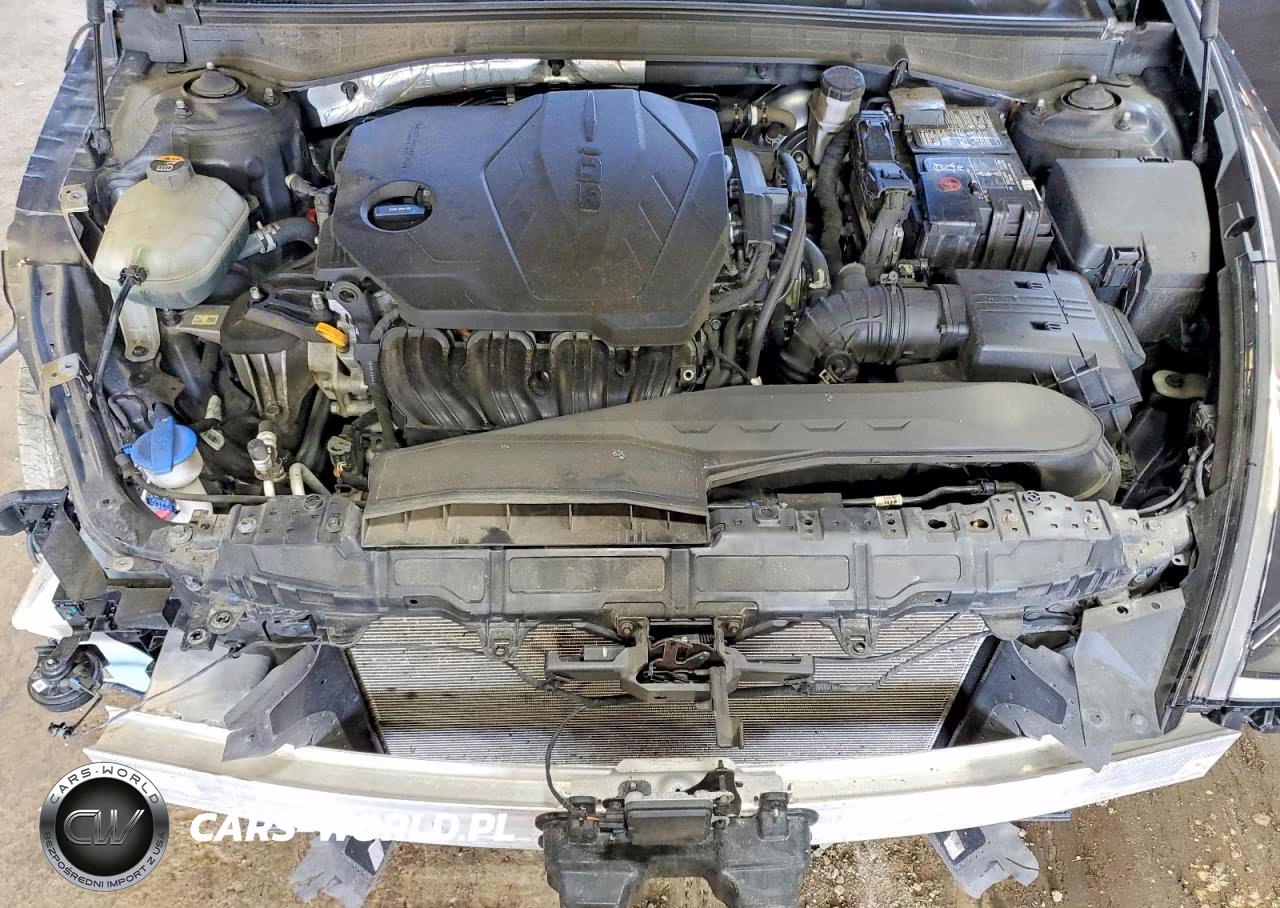 2020 Hyundai Sonata Se VIN:5NPEG4JA6LH010264 - 11
