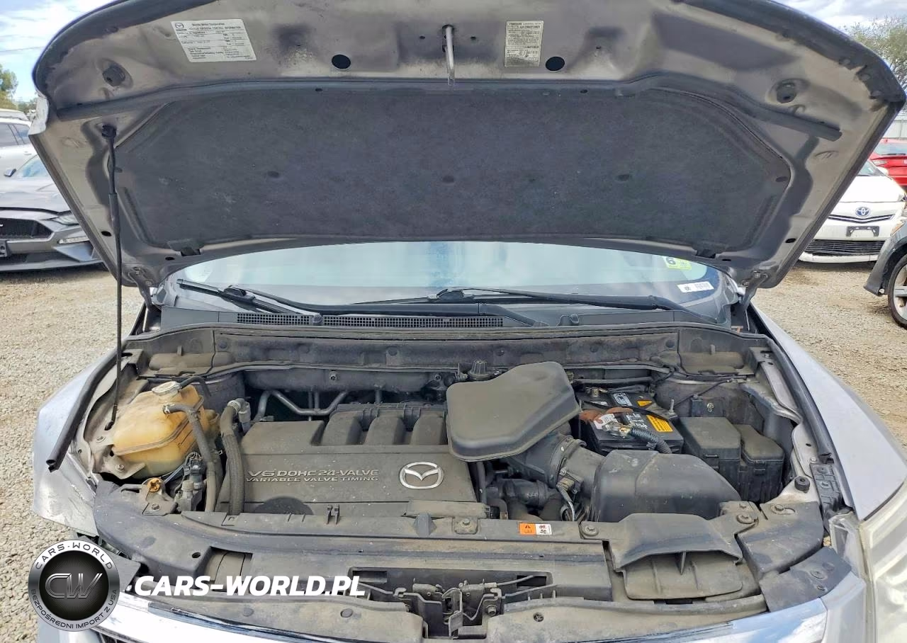 2008 Mazda Cx-9 VIN:JM3TB28V480147475 - 12