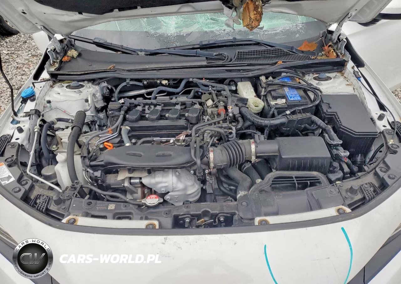 2023 Honda Civic Exl VIN:19XFL1H76PE015984 - 11
