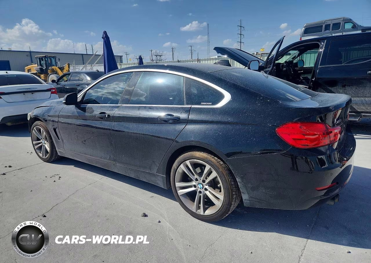 2016 BMW 428 Xi Gran Coupe Sulev VIN:WBA4C9C50GG138298 - 2
