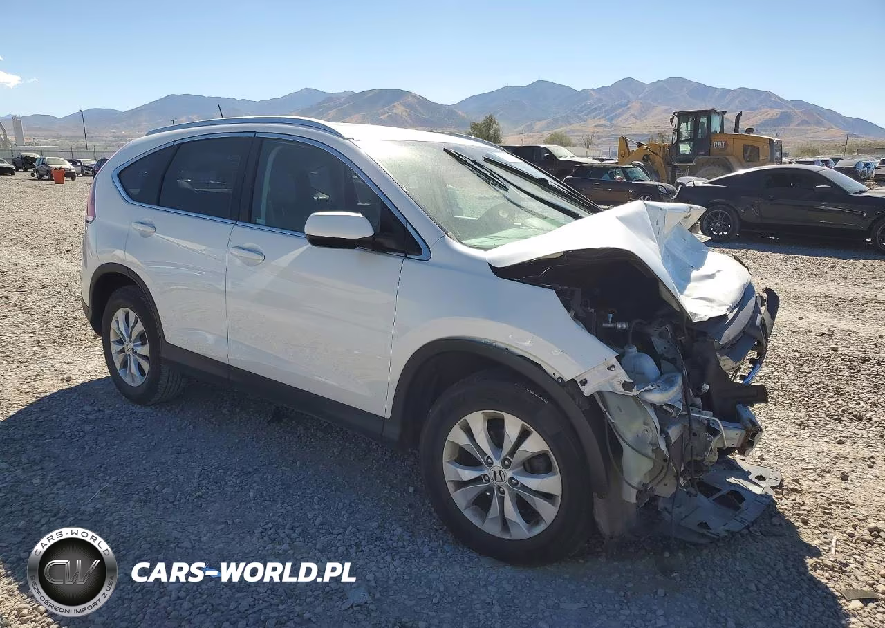 2014 Honda Cr-V Exl VIN:5J6RM4H75EL038585 - 4