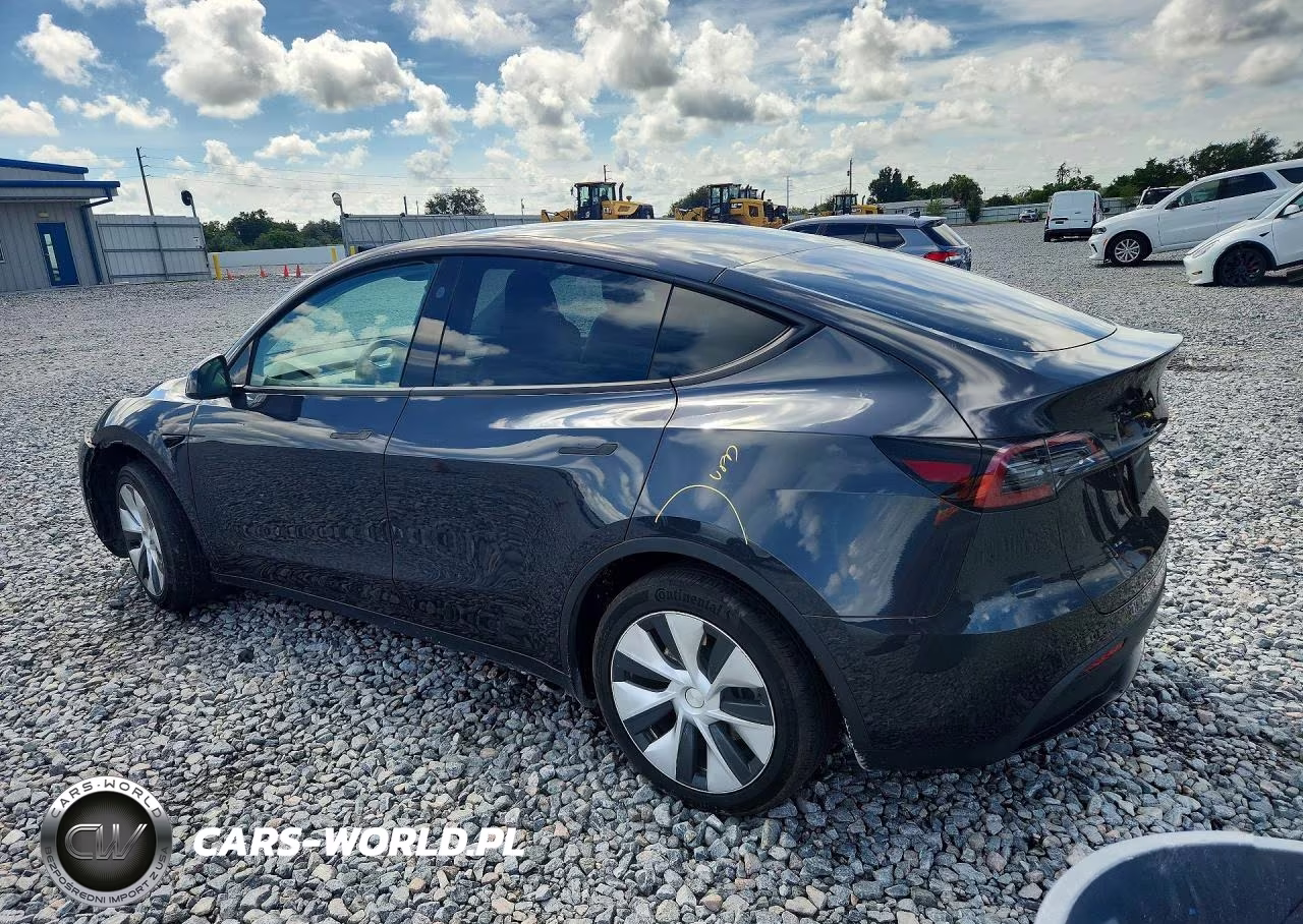 2024 Tesla Model Y VIN:7SAYGDEE4RF032767 - 2