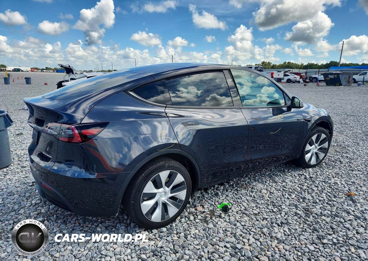 2024 Tesla Model Y VIN:7SAYGDEE4RF032767 - 3