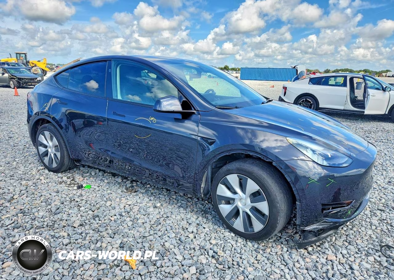 2024 Tesla Model Y VIN:7SAYGDEE4RF032767 - 4