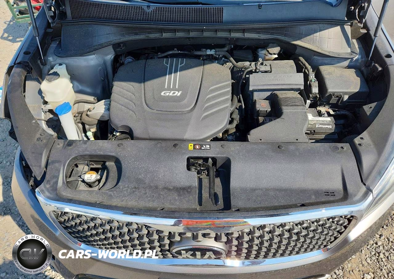2017 Kia Sorento Sx V6 VIN:5XYPK4A5XHG257411 - 12