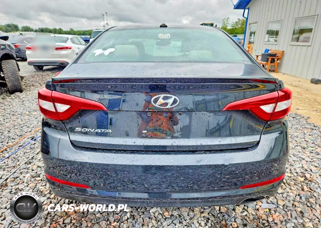 2016 Hyundai Sonata Se VIN:5NPE24AFXGH404902 - 6
