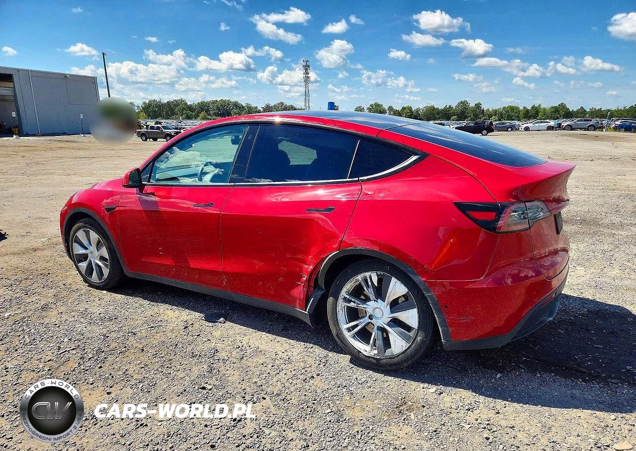 2022 Tesla Model Y VIN:7SAYGDEE3NF354021 - 2