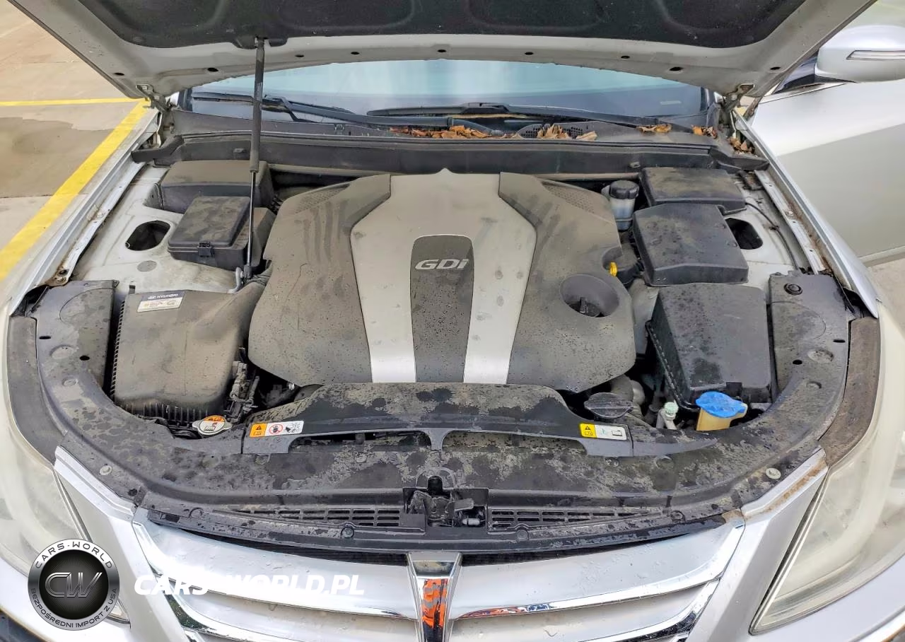 2013 Hyundai Genesis 3.8L VIN:KMHGC4DD7DU221079 - 11