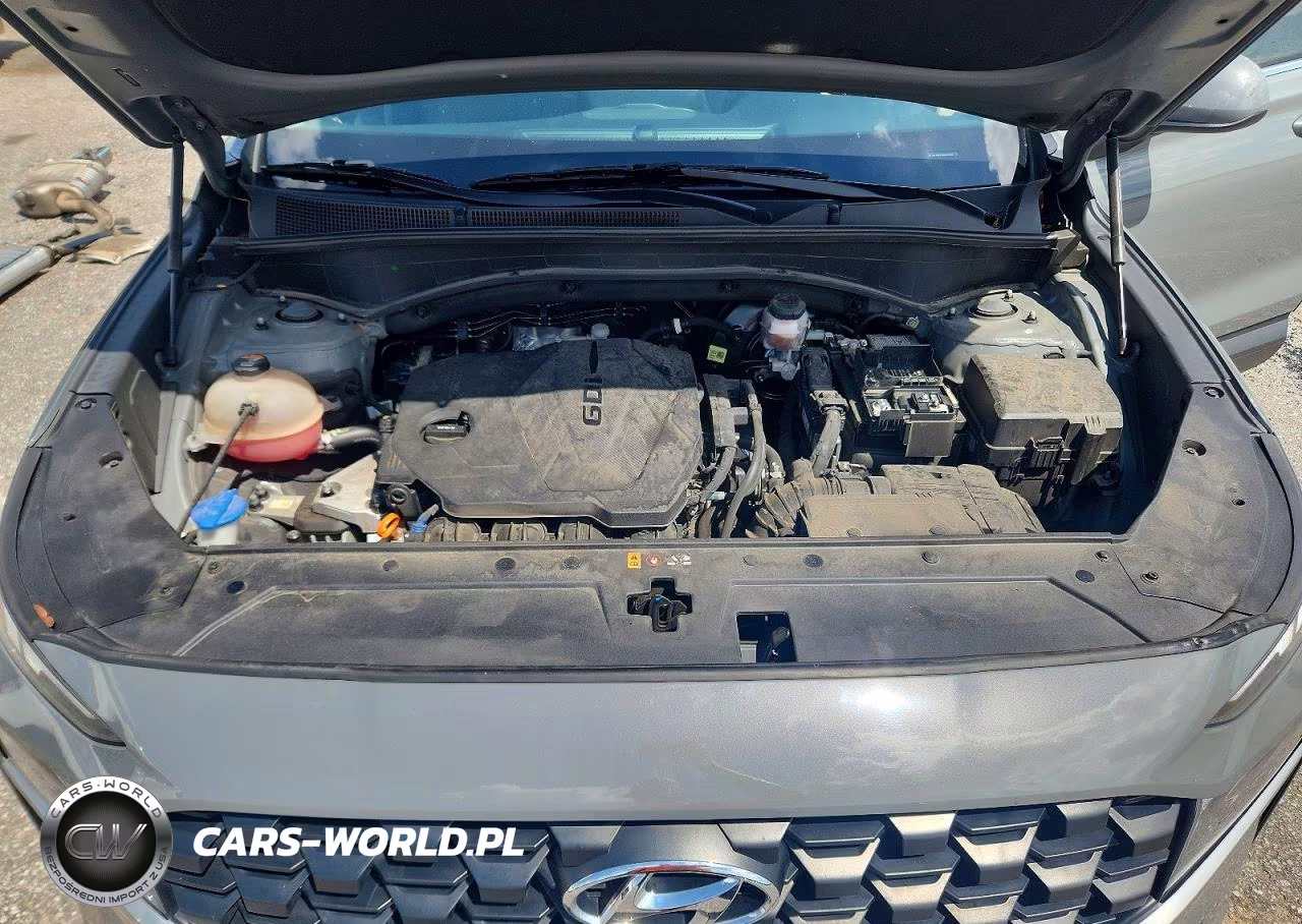 2023 Hyundai Santa Fe Se VIN:5NMS1DAJ4PH587656 - 12