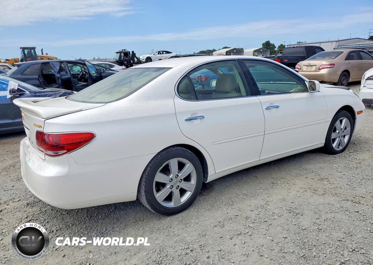 2005 Lexus Es 330 VIN:JTHBA30G855128306 - 3
