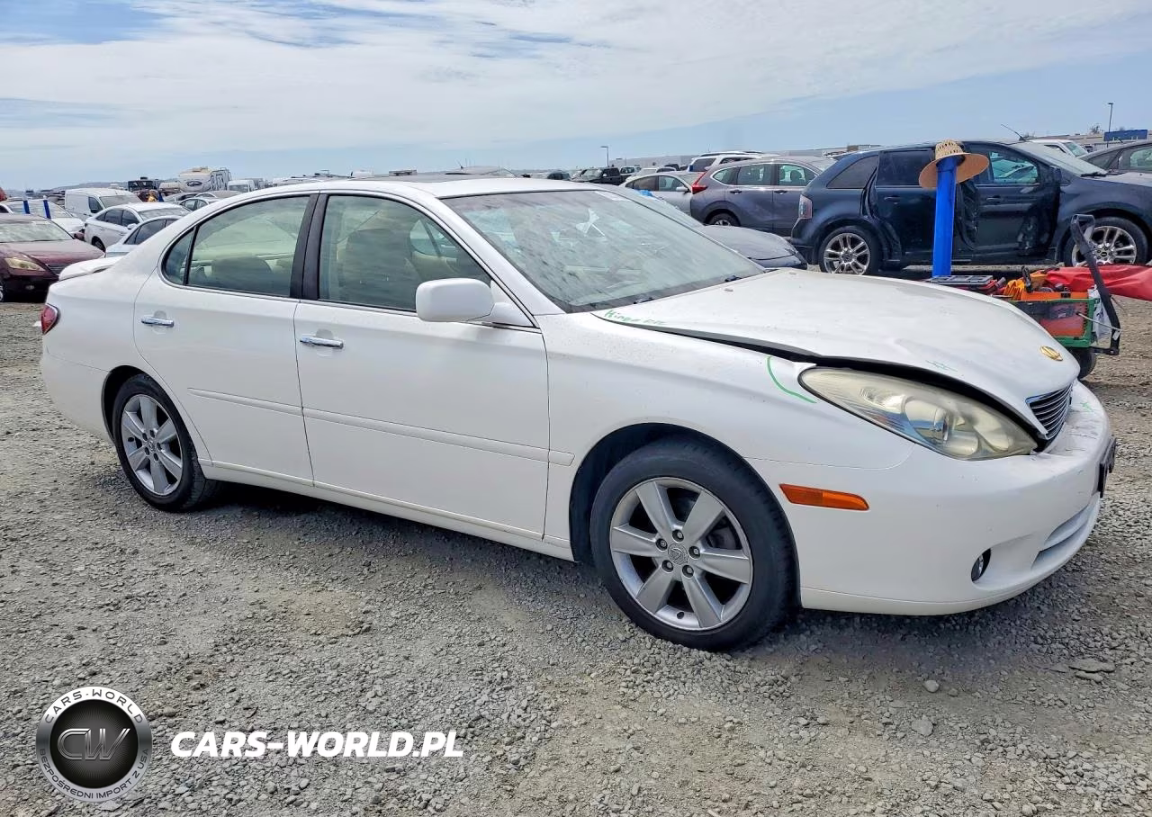 2005 Lexus Es 330 VIN:JTHBA30G855128306 - 4