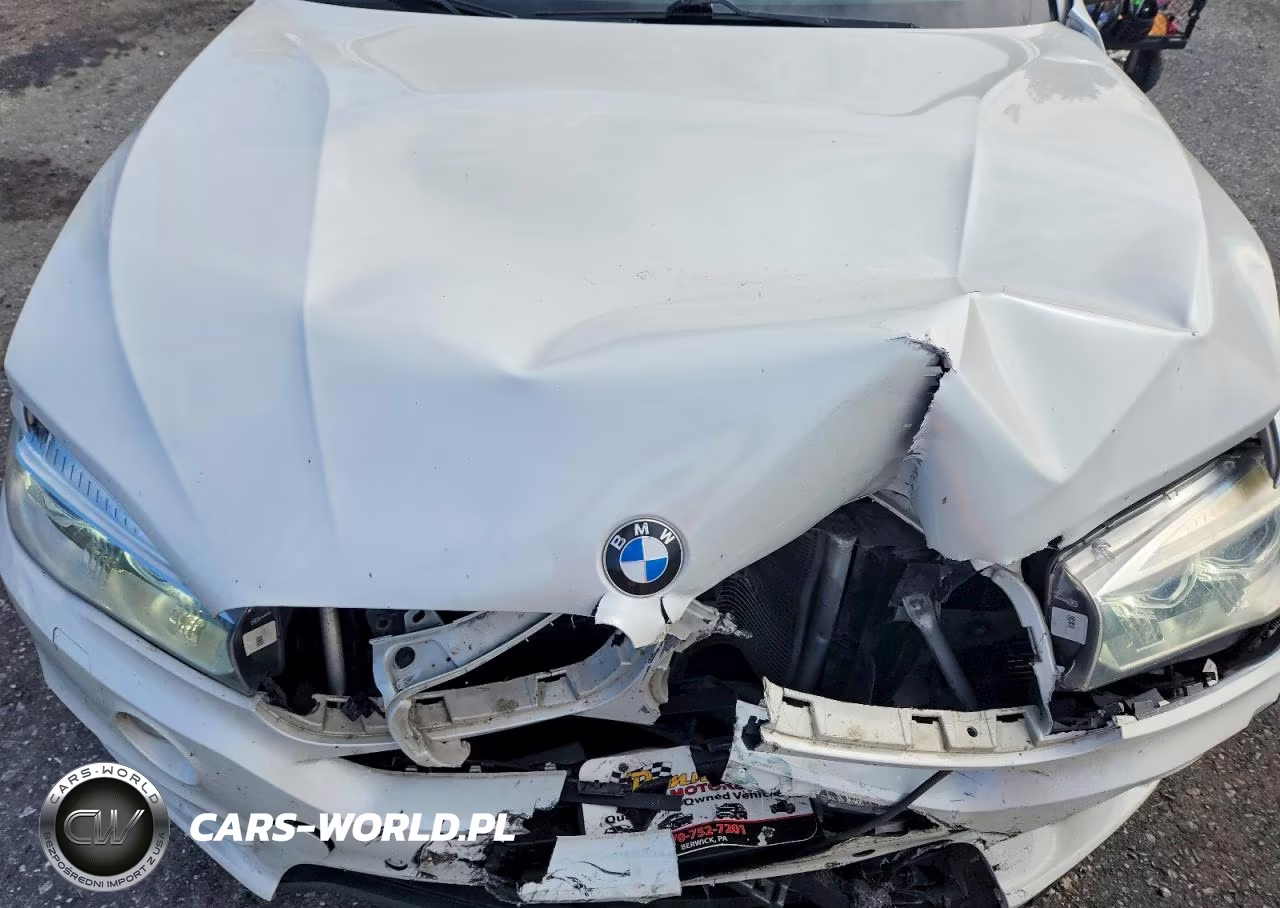 2016 BMW X5 xDrive35I VIN:5UXKR0C55G0U48393 - 12