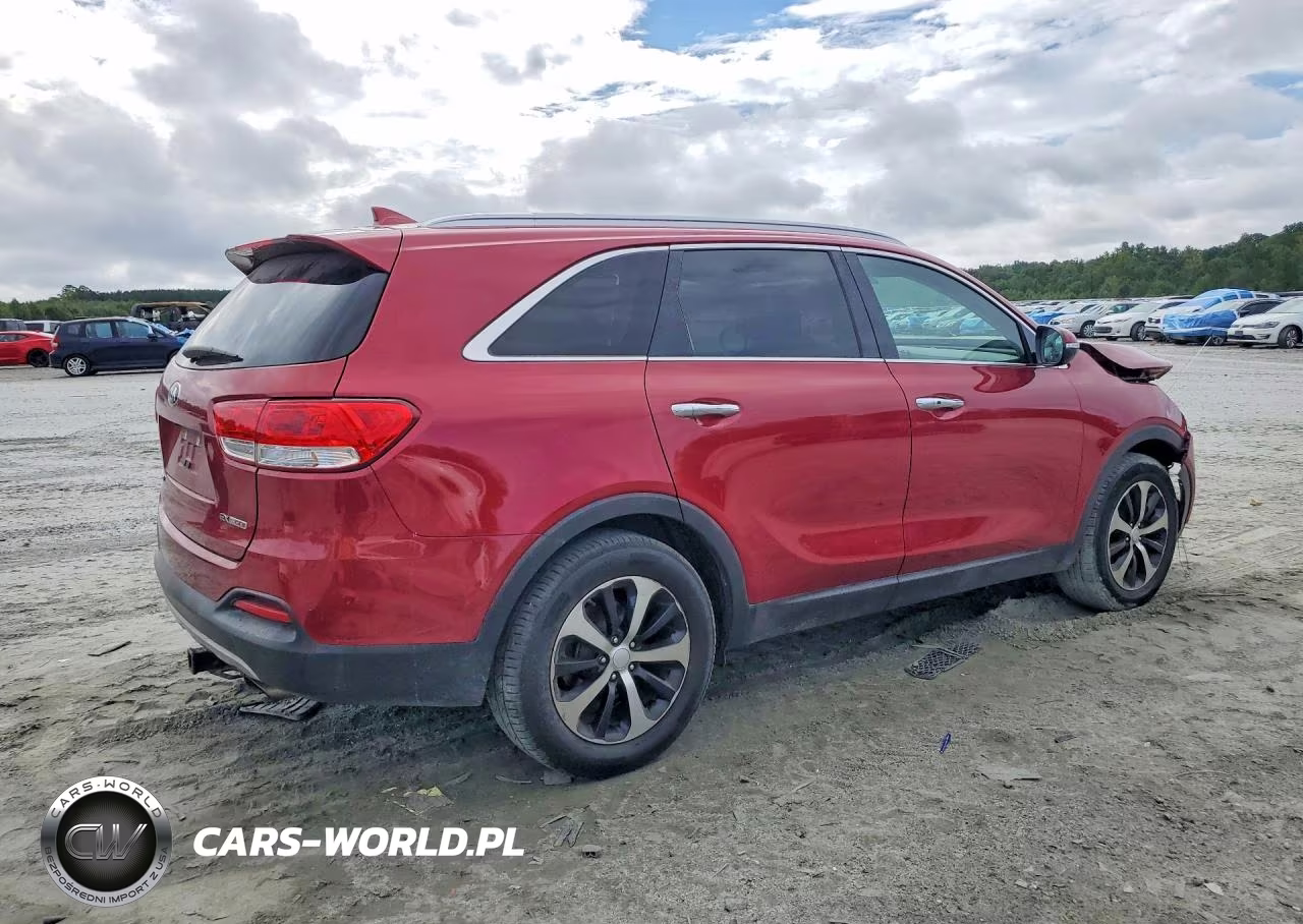 2017 Kia Sorento Ex VIN:5XYPH4A17HG243073 - 3