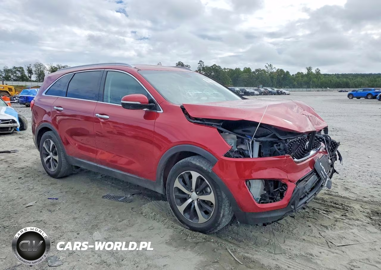 2017 Kia Sorento Ex VIN:5XYPH4A17HG243073 - 4