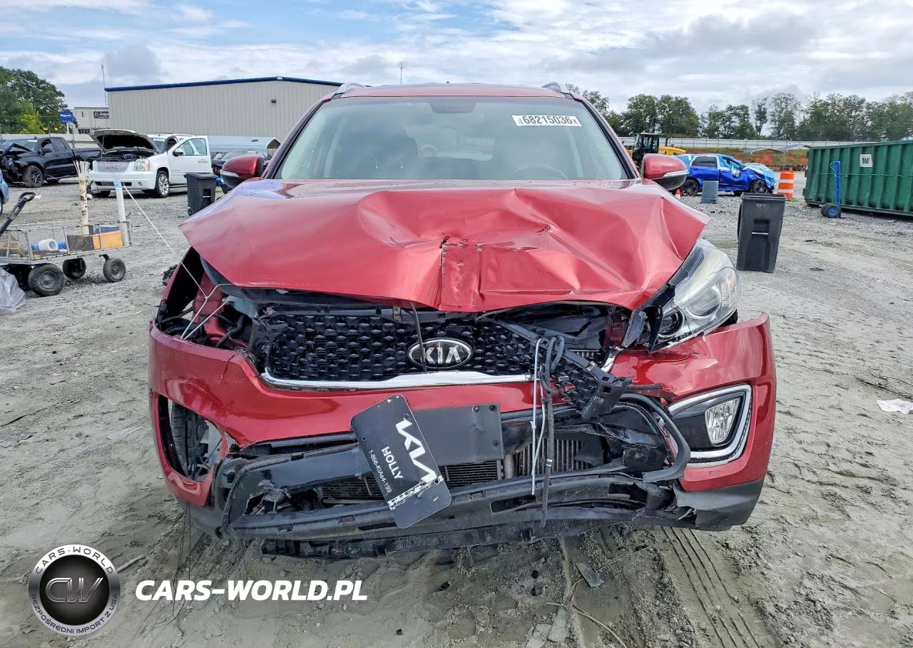 2017 Kia Sorento Ex VIN:5XYPH4A17HG243073 - 5