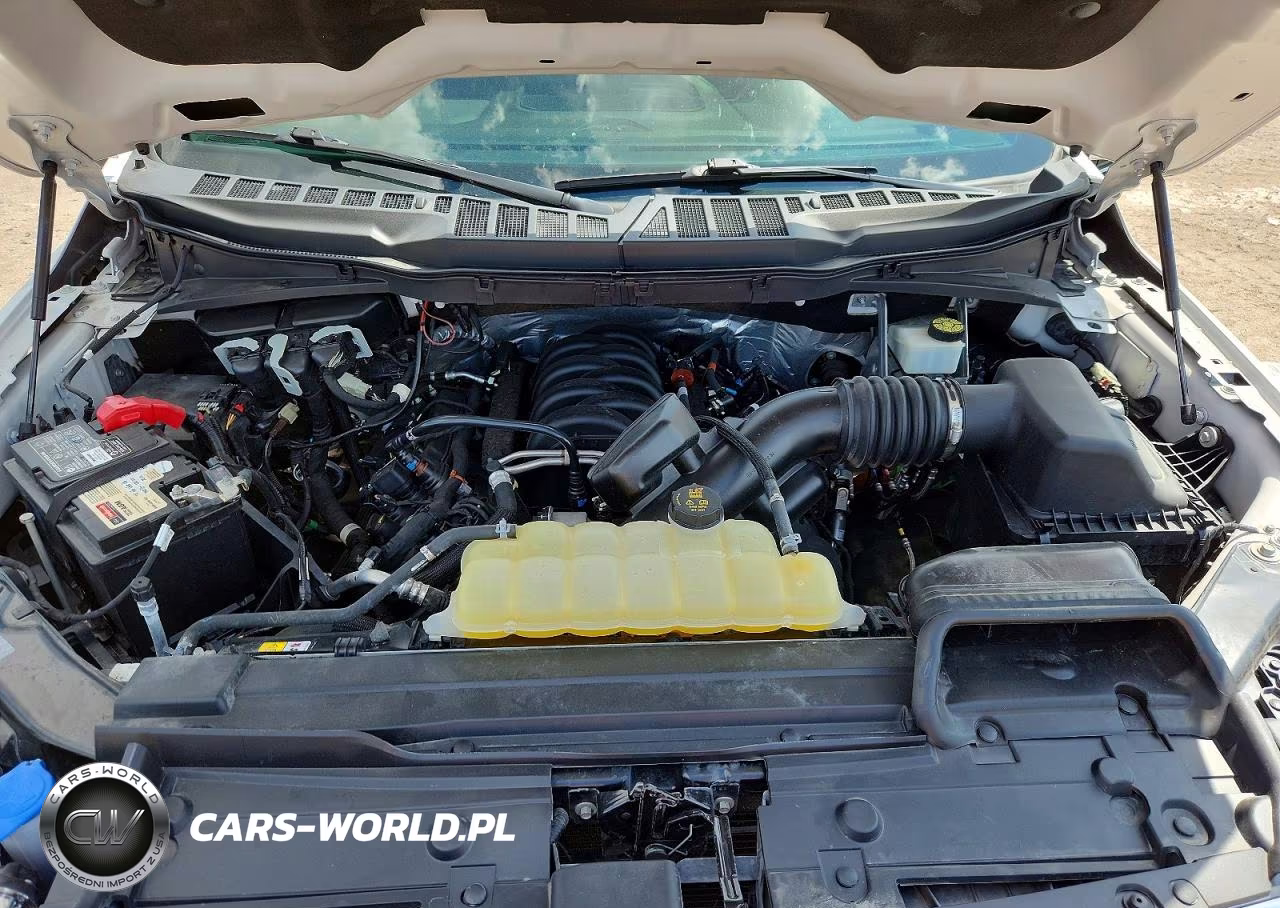 2021 Ford F150 Supercrew VIN:1FTFW1E54MFB08966 - 11