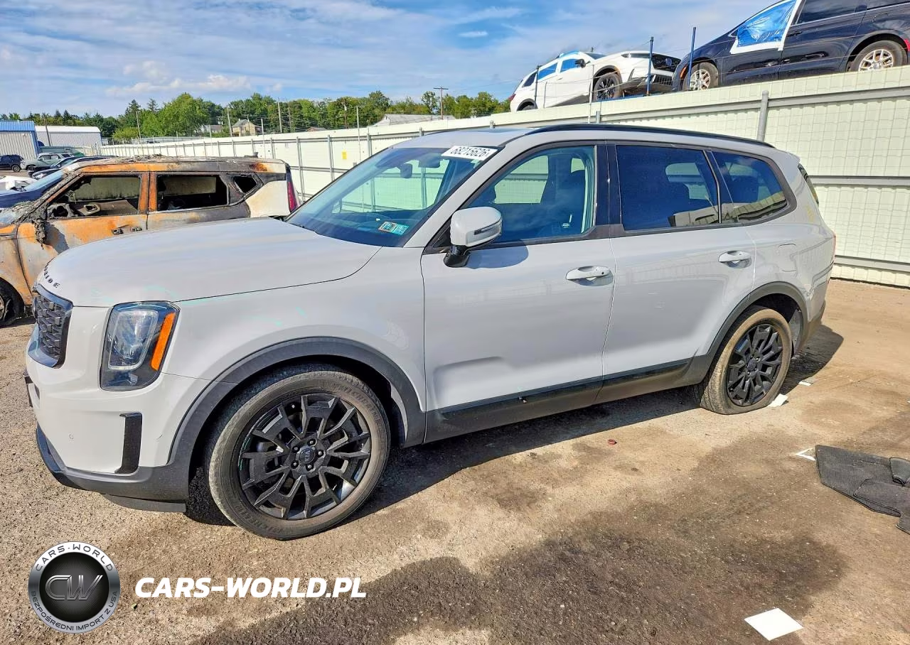 2021 Kia Telluride Sx VIN:5XYP5DHC5MG189394 - 1