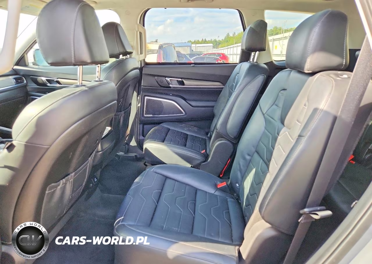 2021 Kia Telluride Sx VIN:5XYP5DHC5MG189394 - 11