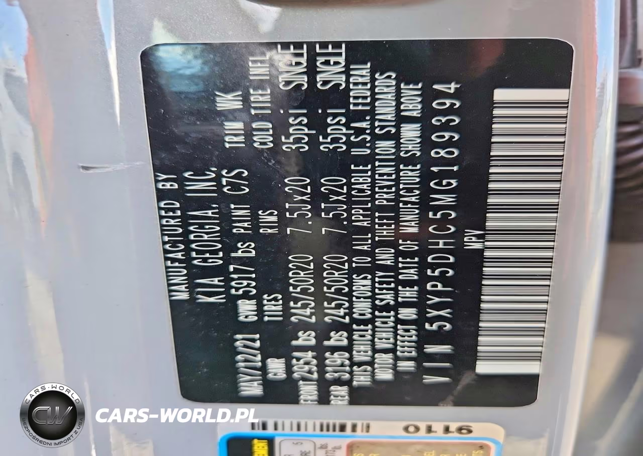 2021 Kia Telluride Sx VIN:5XYP5DHC5MG189394 - 13