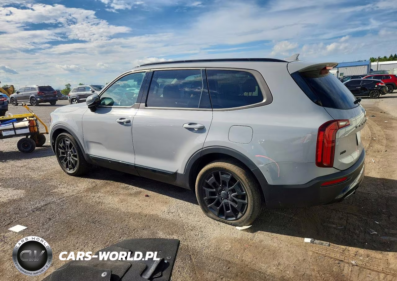 2021 Kia Telluride Sx VIN:5XYP5DHC5MG189394 - 2