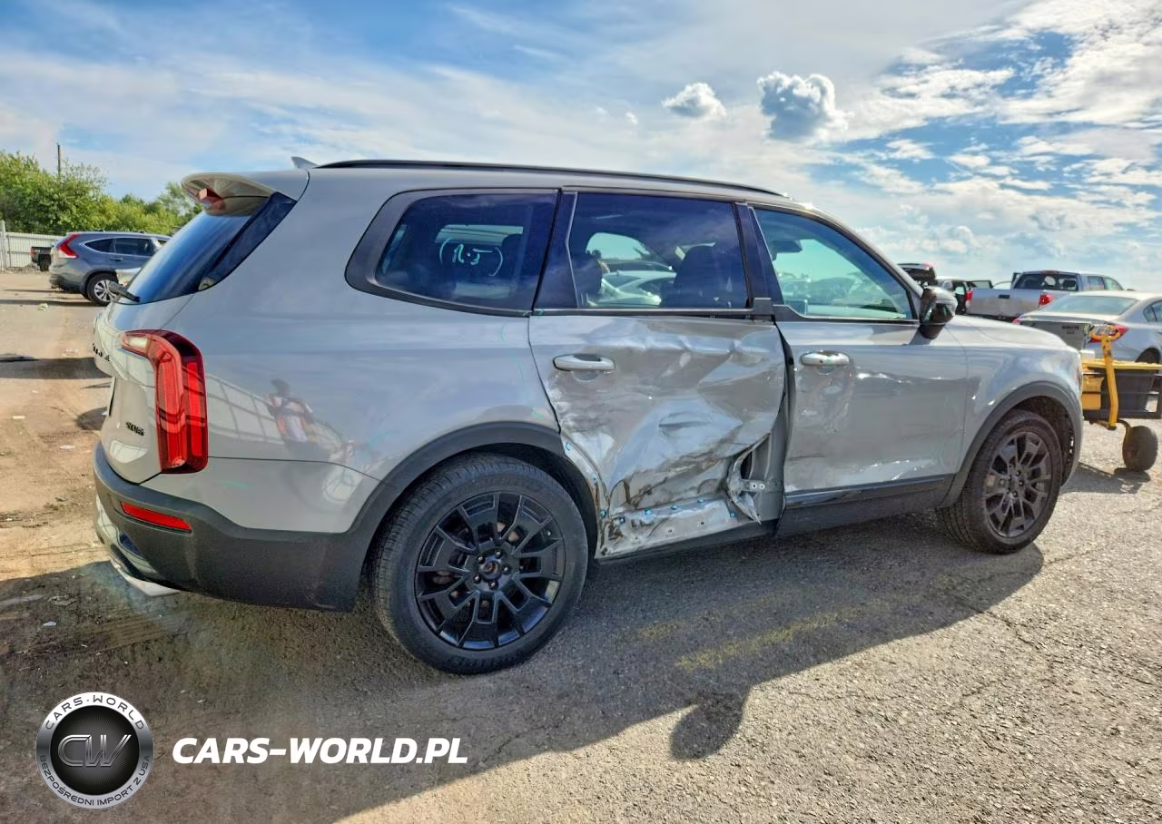 2021 Kia Telluride Sx VIN:5XYP5DHC5MG189394 - 3