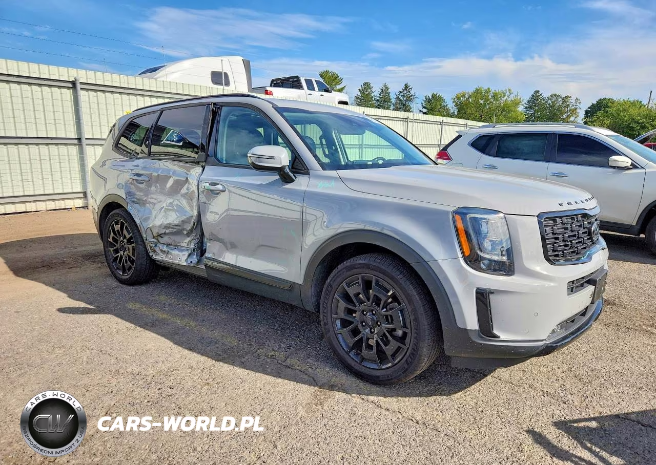2021 Kia Telluride Sx VIN:5XYP5DHC5MG189394 - 4