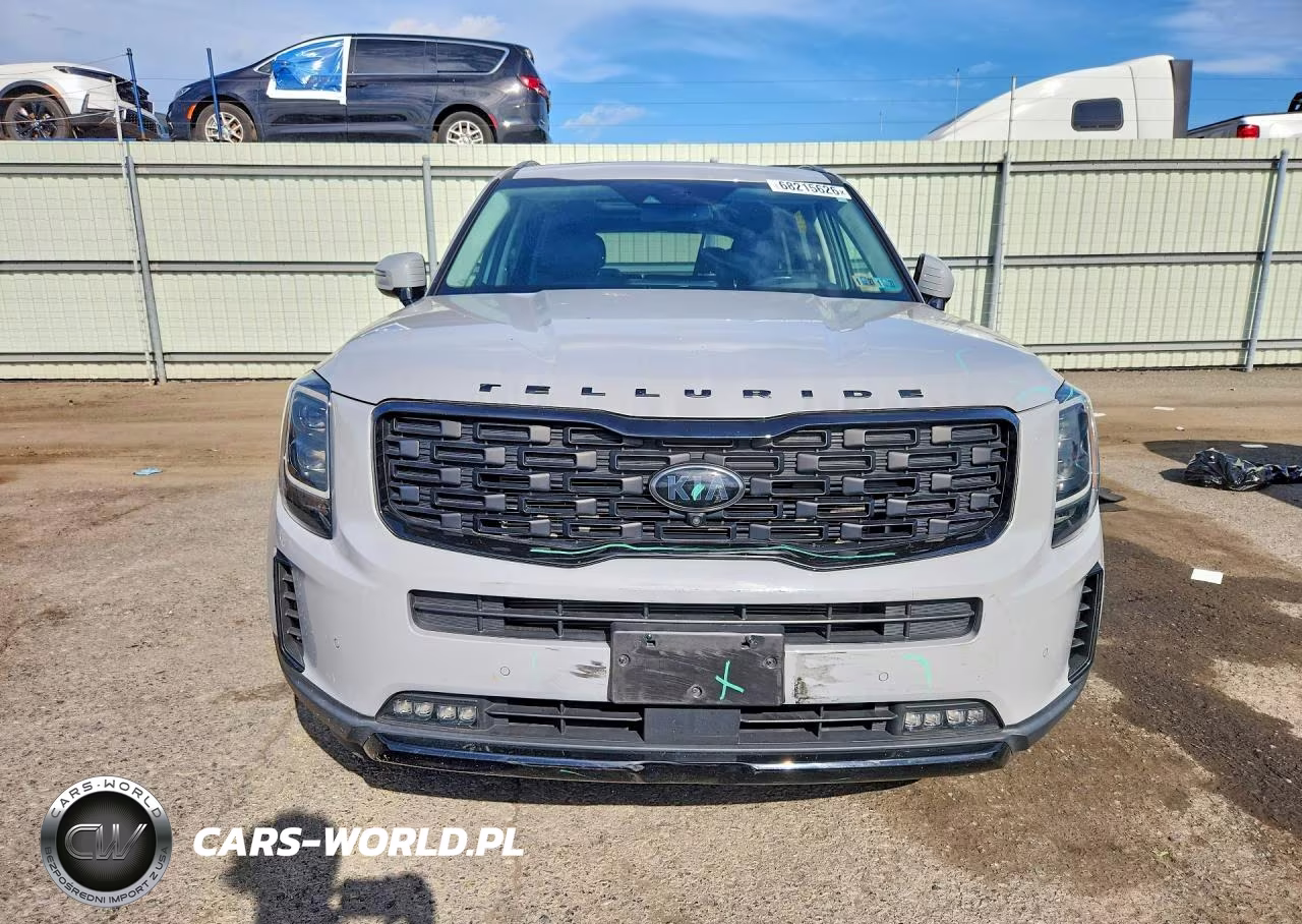 2021 Kia Telluride Sx VIN:5XYP5DHC5MG189394 - 5