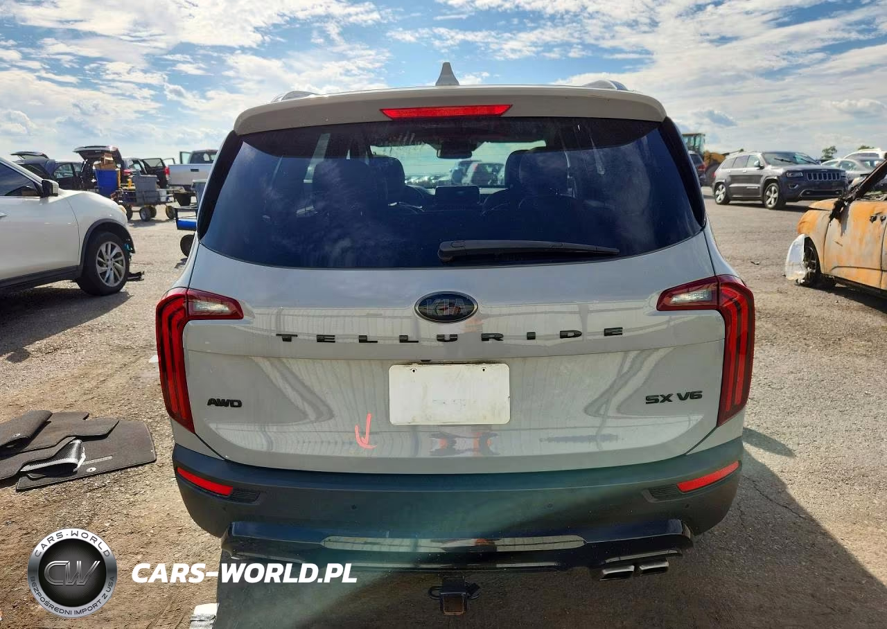 2021 Kia Telluride Sx VIN:5XYP5DHC5MG189394 - 6