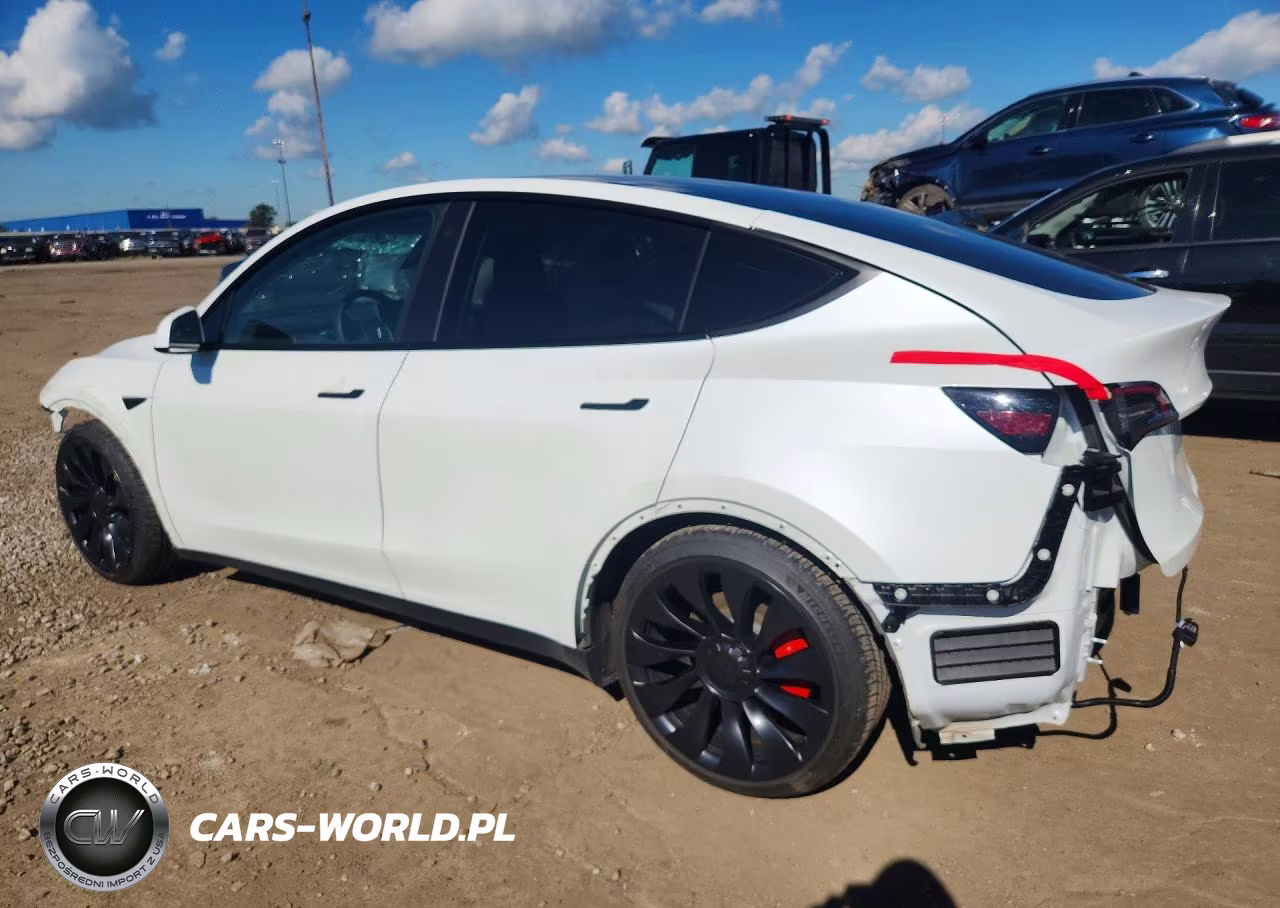 2022 Tesla Model Y VIN:7SAYGDEF0NF544254 - 2