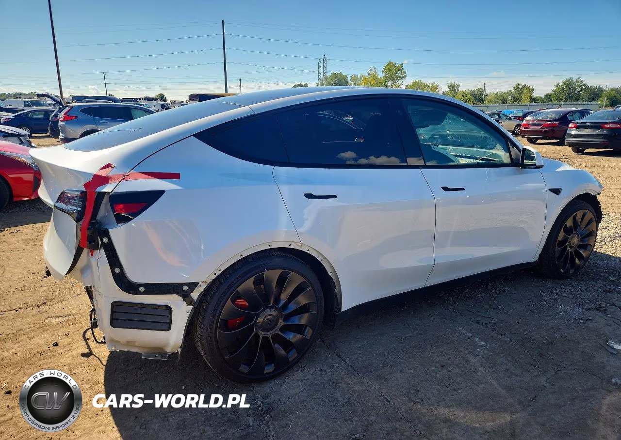 2022 Tesla Model Y VIN:7SAYGDEF0NF544254 - 3