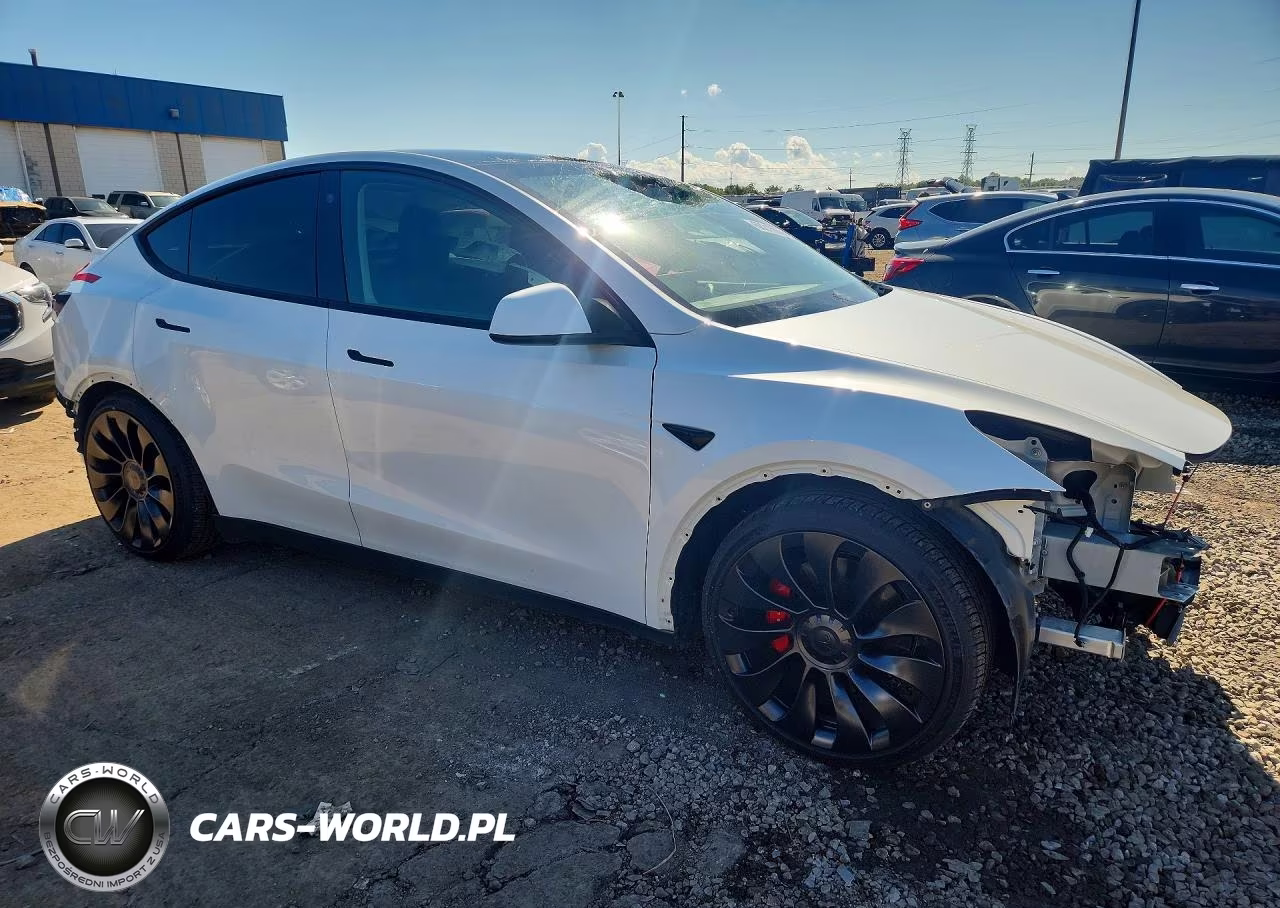 2022 Tesla Model Y VIN:7SAYGDEF0NF544254 - 4