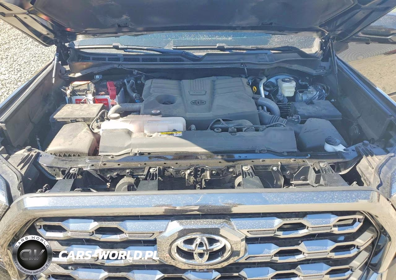 2025 Toyota Tundra Platinum VIN:5TFNA5DB6SX290945 - 11