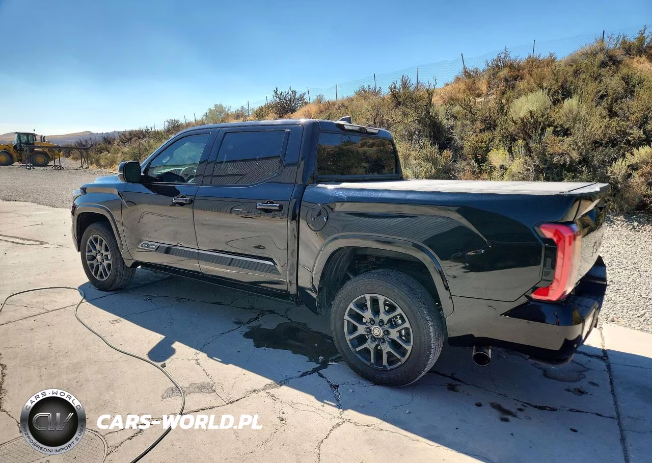 2025 Toyota Tundra Platinum VIN:5TFNA5DB6SX290945 - 2