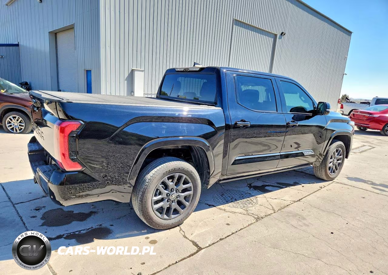 2025 Toyota Tundra Platinum VIN:5TFNA5DB6SX290945 - 3