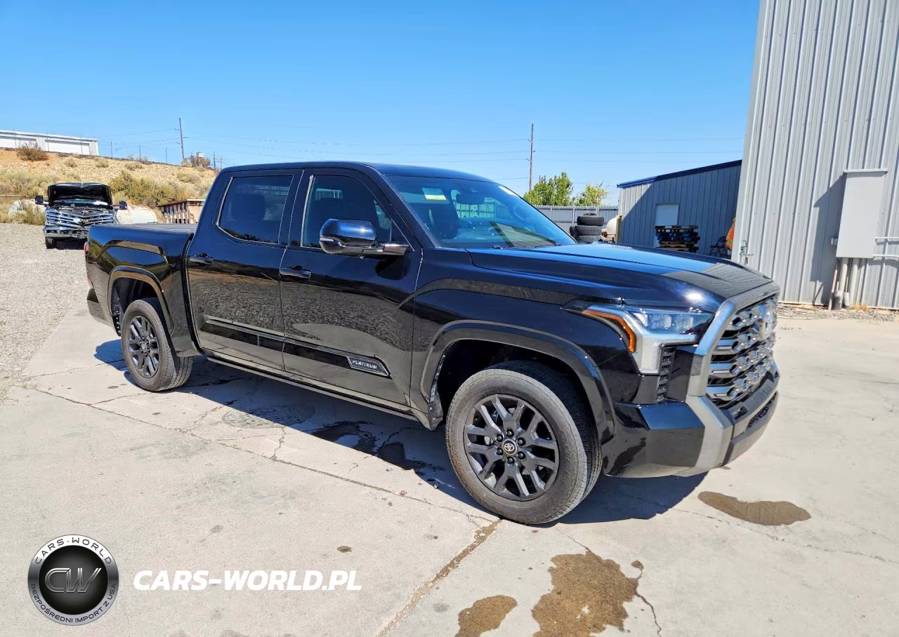 2025 Toyota Tundra Platinum VIN:5TFNA5DB6SX290945 - 4