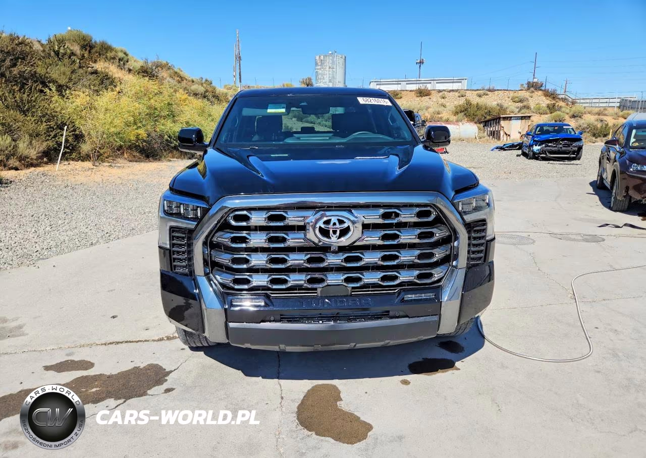 2025 Toyota Tundra Platinum VIN:5TFNA5DB6SX290945 - 5