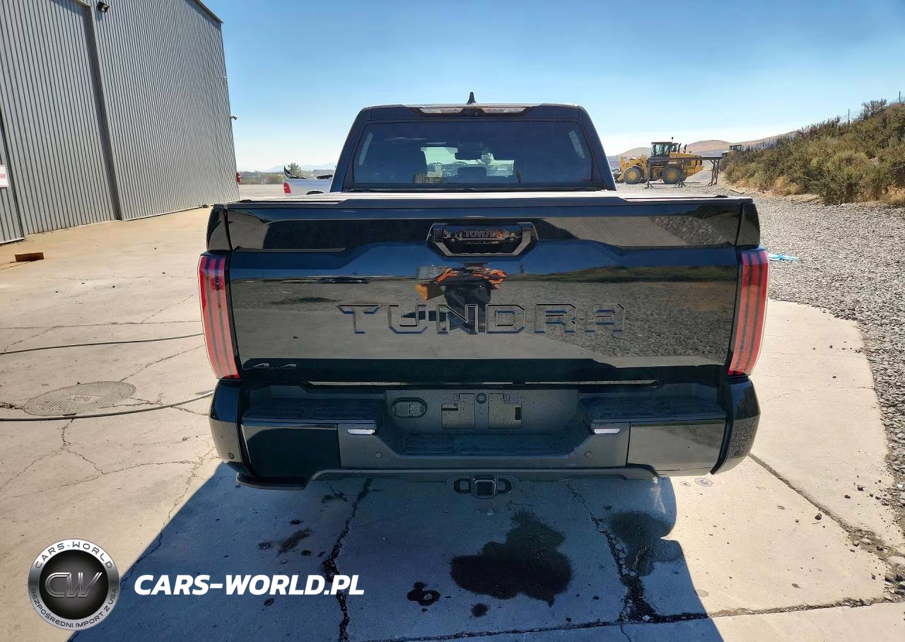 2025 Toyota Tundra Platinum VIN:5TFNA5DB6SX290945 - 6